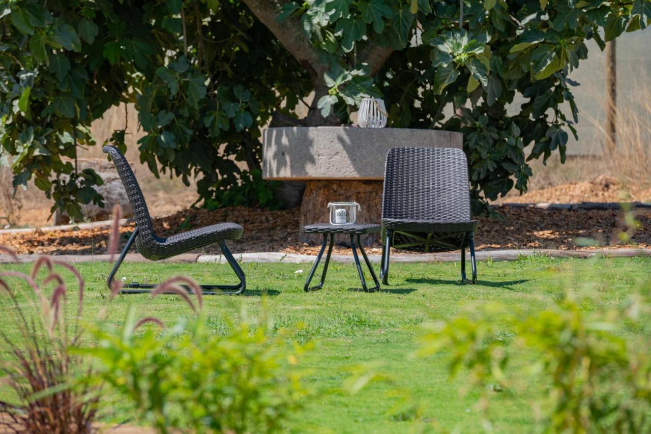 Casas Da Bica - Turismo Espaco Rural Cercal do Alentejo Exteriör bild